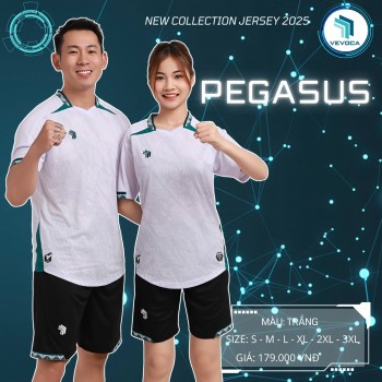 PEGASUS